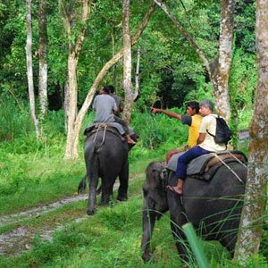 Wildlife Tour Packages - Dooars (4nights / 5days)