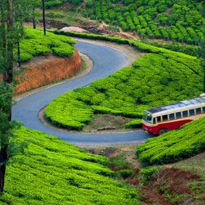 Kerala-Tour-packages-(3nights/4days)