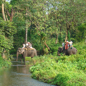 Wild life LATAGURI, Rocky Island, Samsing & Santalikhola (3nights/4days)